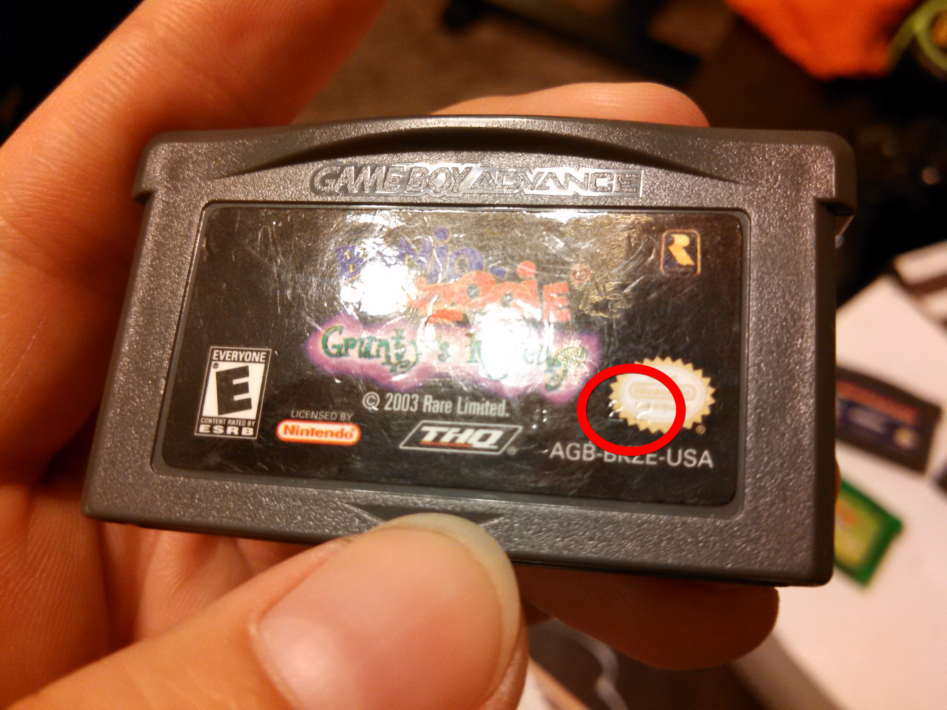 6 Ways To Spot A Fake GBA Game – The Avalanche Rebels